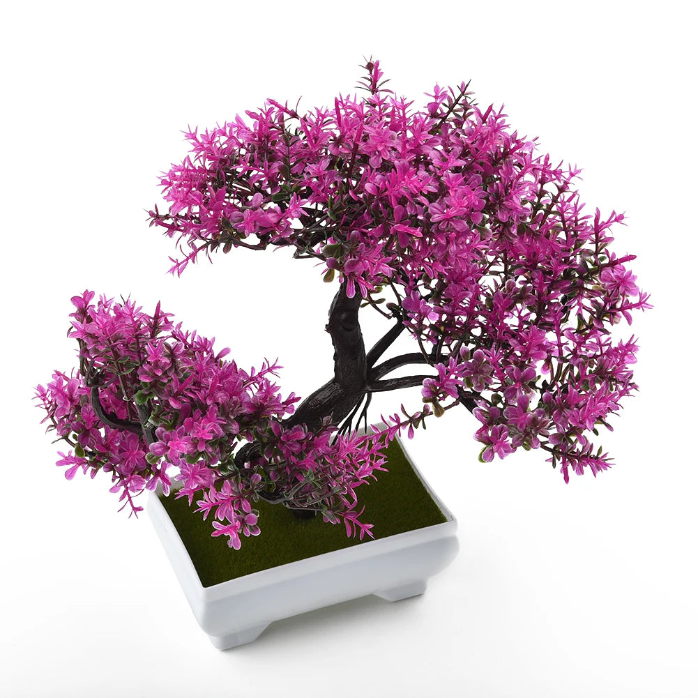 Bonsai Small Tree